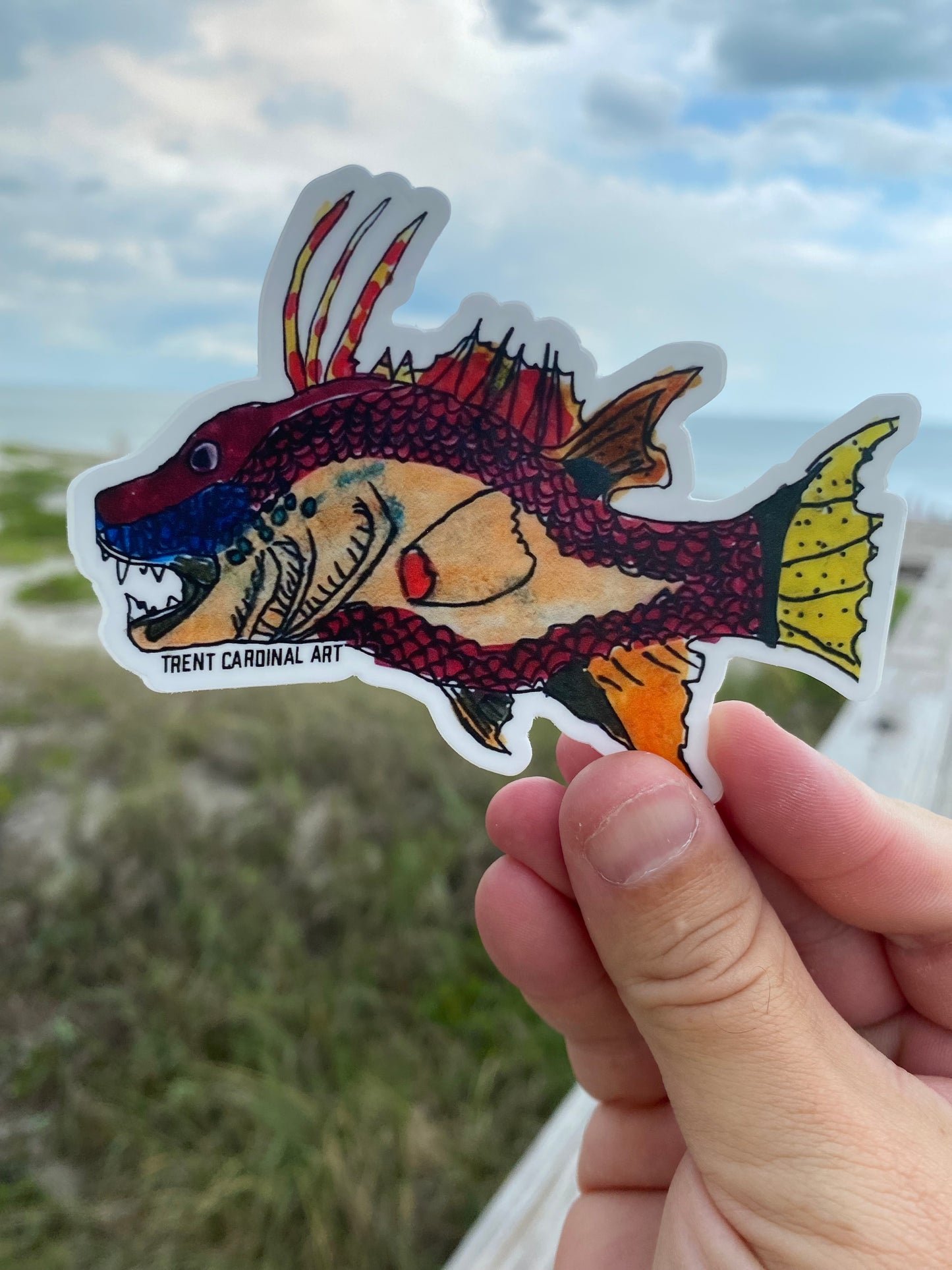 Hogfish Sticker 4”