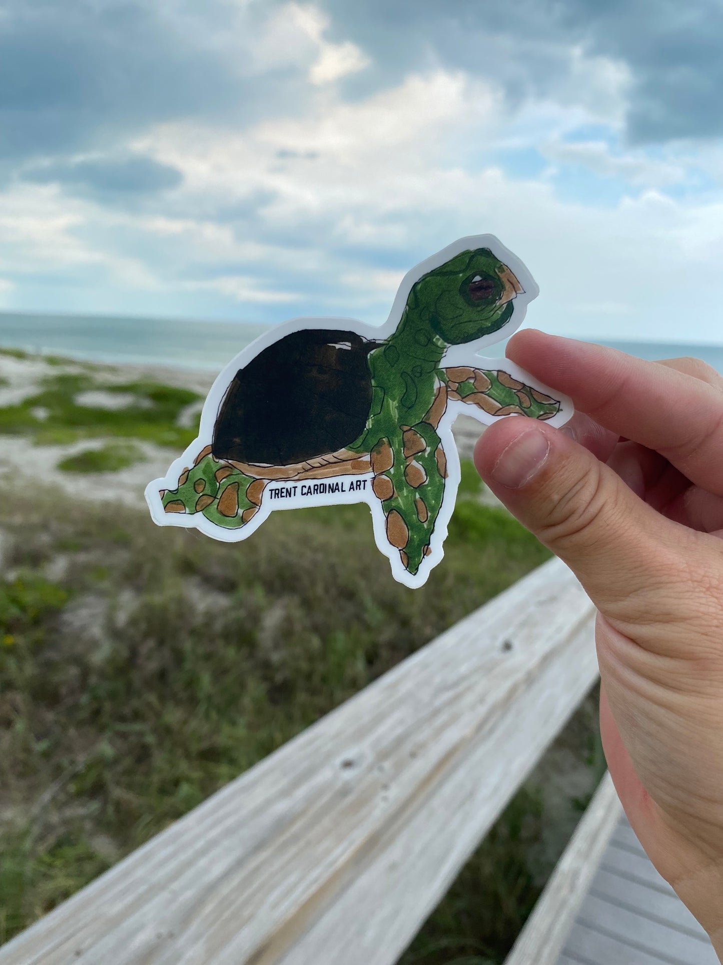 Sea Turtle Sticker 4”