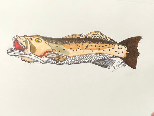 I Draw Your Catch