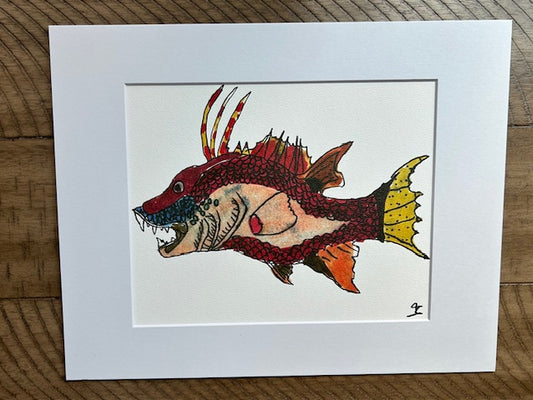 Hogfish Print